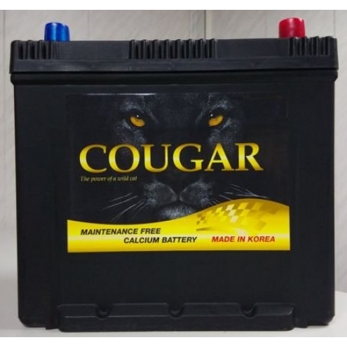 Аккумулятор COUGAR  55B24R 45 1(L+)